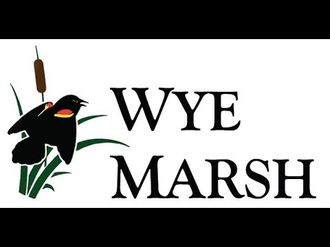 Wye Marsh Logo