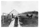 Log Tram from Lake St. John to move logs into Lake Couchiching at Portage Bay near Breezy Point Y.M.C.A. camp.