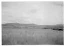Image of Edenfield Village from lower Cockham Farm