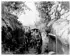 Photo of a Communication Trench