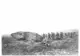 Vimy Ridge