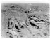 Photo of Grman dead after an attack