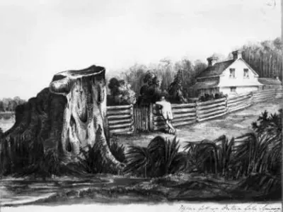 Sketch image of home