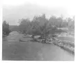 Canal to Lake St. John from Black River.