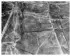 Aerial view of a trench system