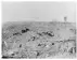 Photo of Courcelette