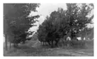 Bay Street Orillia - 1913