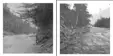 Pic 1 - View of Ragged Rapids 1884 - Pic 2 - about 1898