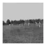 Orillia Crickets Club - about 1884