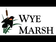 Wye Marsh Logo
