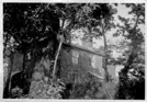 Image of Great Hey through trees