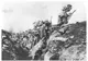 Photo of Canadians on the attack