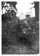 Lieut. Col. David Henry MacLaren