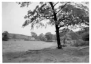 Image of Lamb Bridge from near Irvell Vales Great Hey farmlands behind houses